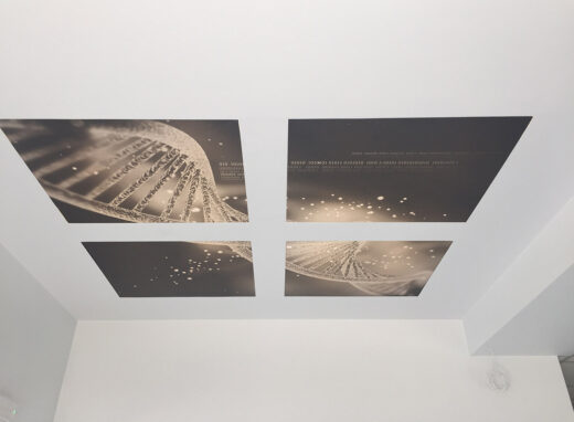 Κατασκευή μικροβιολογικού εργαστηρίου στο Αγρίνιο